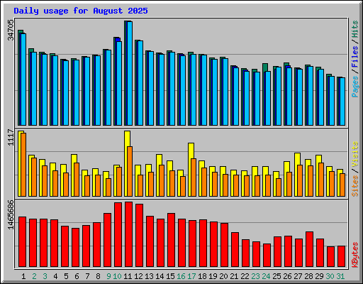 Daily usage for August 2025