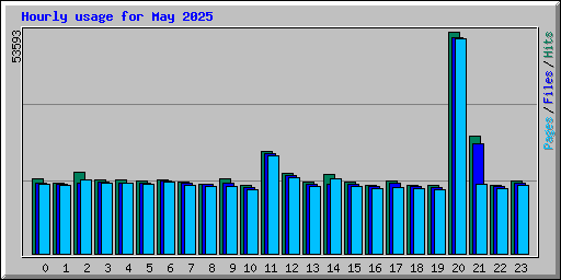 Hourly usage for May 2025