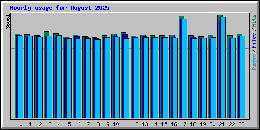 Hourly usage for August 2025