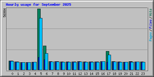 Hourly usage for September 2025