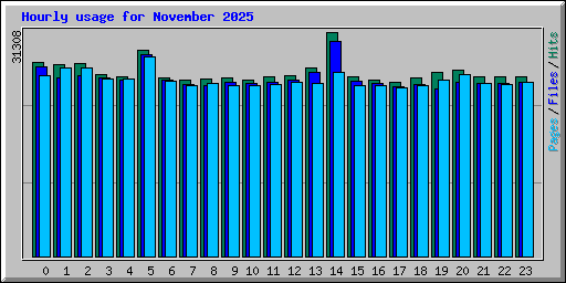 Hourly usage for November 2025
