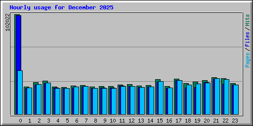 Hourly usage for December 2025