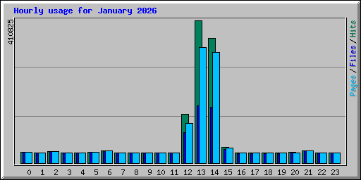 Hourly usage for January 2026