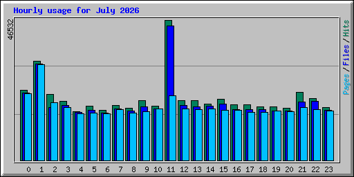 Hourly usage for July 2026