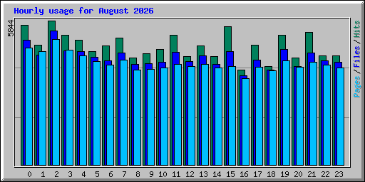 Hourly usage for August 2026