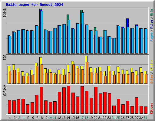 Daily usage for August 2024