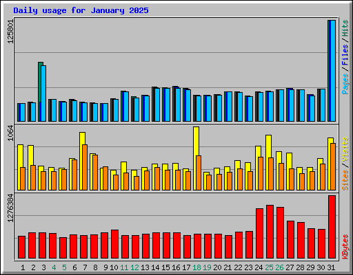 Daily usage for January 2025