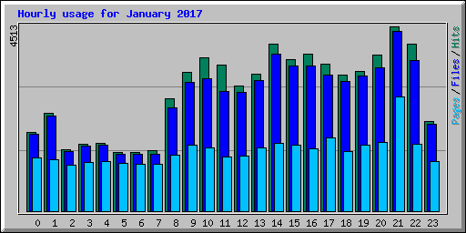 Hourly usage for January 2017