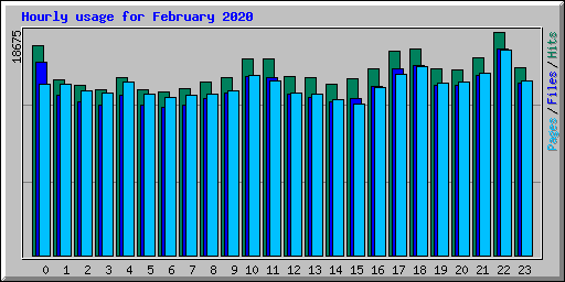 Hourly usage for February 2020