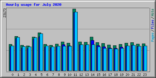 Hourly usage for July 2020