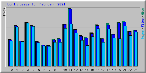 Hourly usage for February 2021