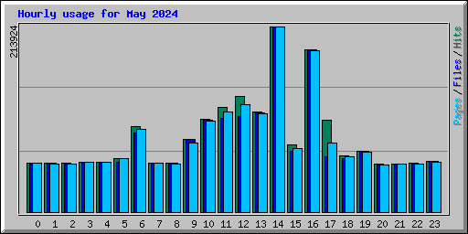 Hourly usage for May 2024