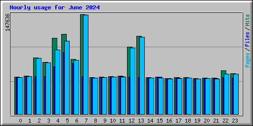 Hourly usage for June 2024