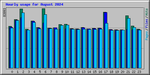 Hourly usage for August 2024