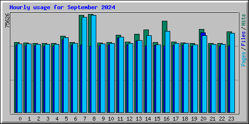 Hourly usage for September 2024