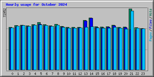 Hourly usage for October 2024