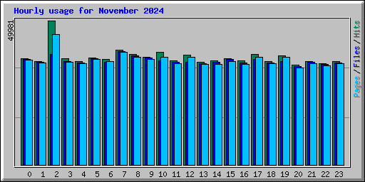 Hourly usage for November 2024