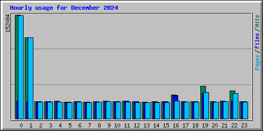 Hourly usage for December 2024