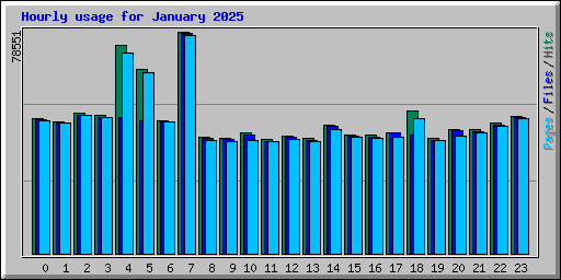Hourly usage for January 2025