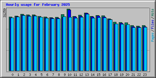 Hourly usage for February 2025