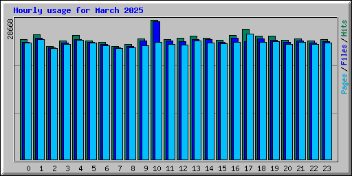 Hourly usage for March 2025