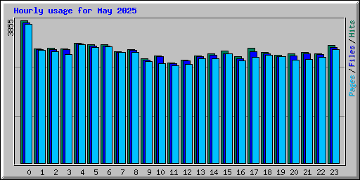 Hourly usage for May 2025