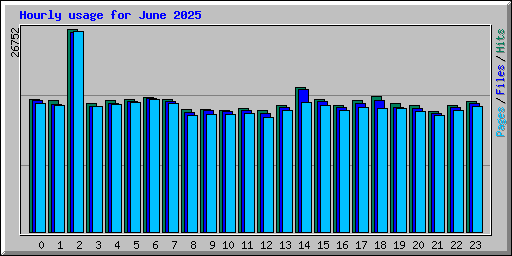 Hourly usage for June 2025