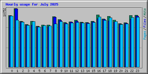 Hourly usage for July 2025