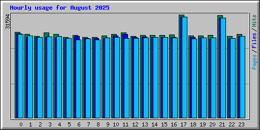 Hourly usage for August 2025