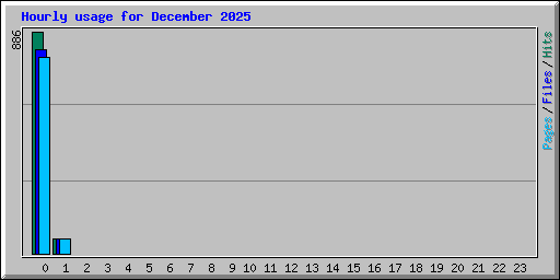 Hourly usage for December 2025
