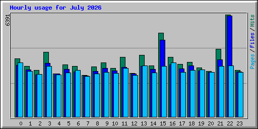 Hourly usage for July 2026
